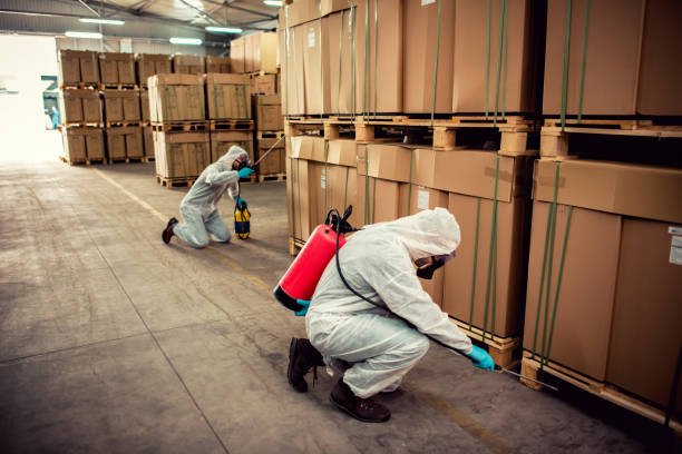 Best Pest Control for Homes  in Great Neck, NY