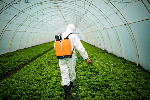 Best Best Pest Control Companies  in Great Neck, NY