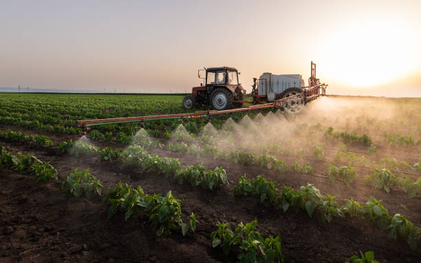 Best Commercial Pest Control Services  in Great Neck, NY